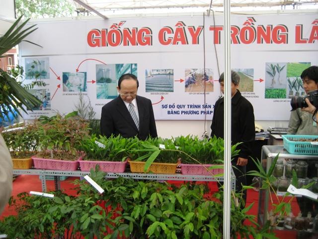 Vietnam forest products festival